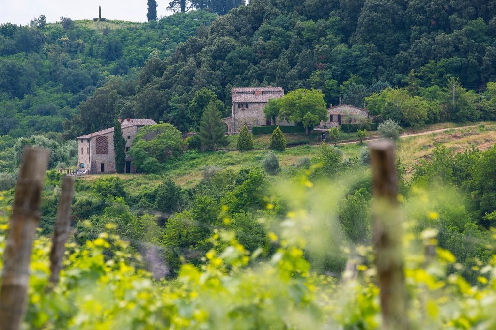L'Aiolina Apartment Vagliagli Bagian luar foto
